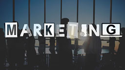 Marketing Qualified Lead (MQL)의 정의 | Digital Marketing Curation